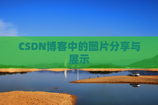 CSDN博客中的图片分享与展示
